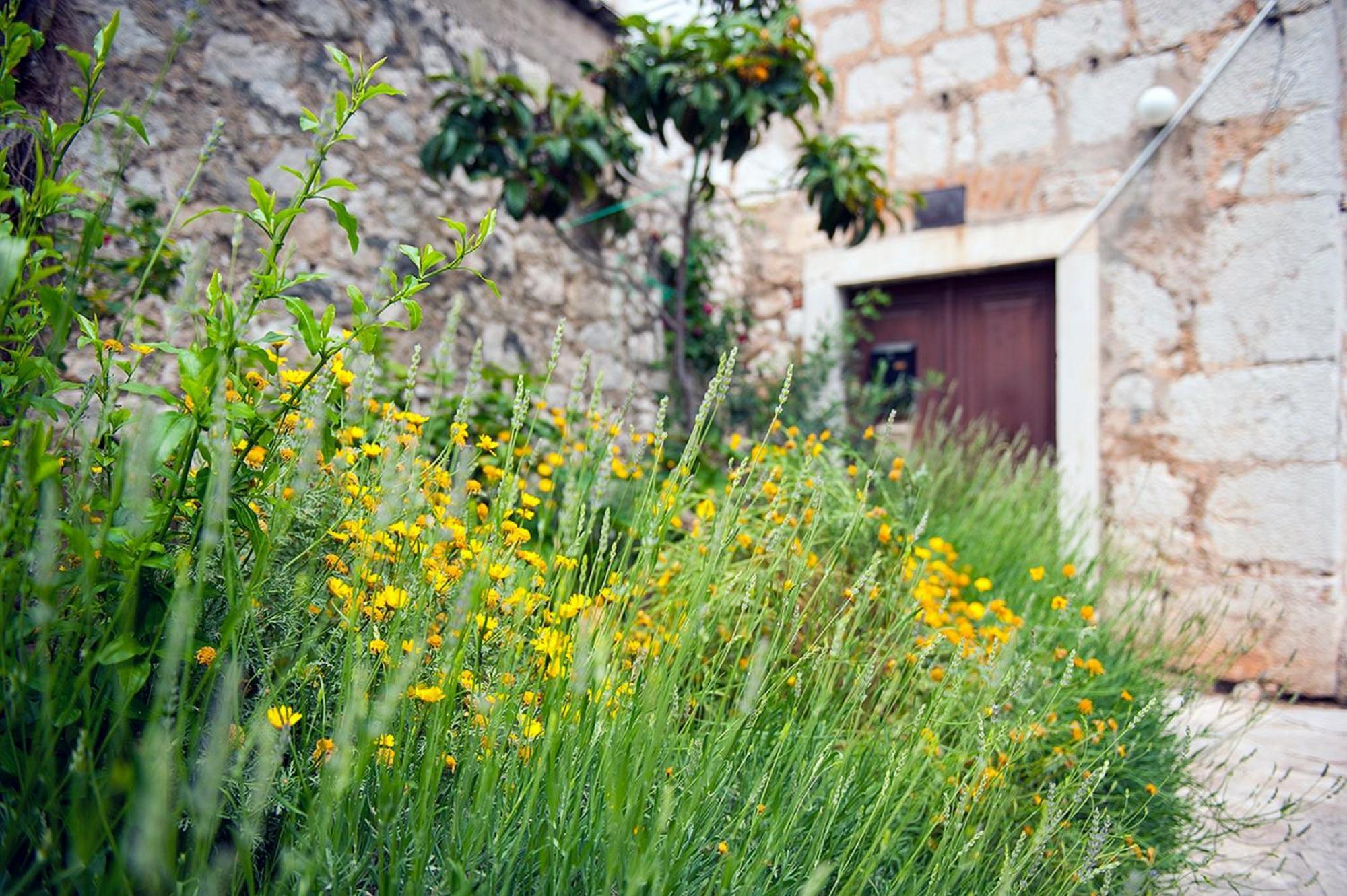 Dalmatian Garden - Free Parking - City Centre 시베니크 외부 사진
